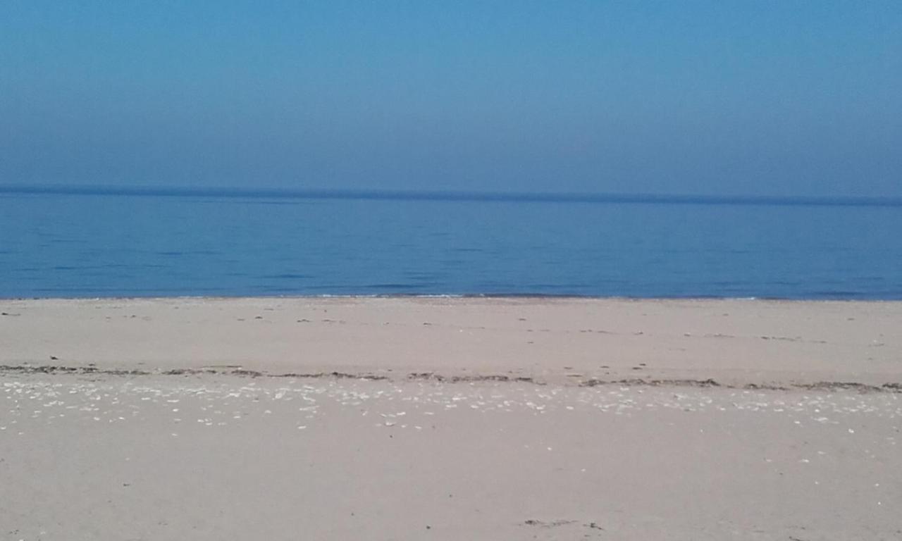 Neptune Lion sur Mer Bagian luar foto
