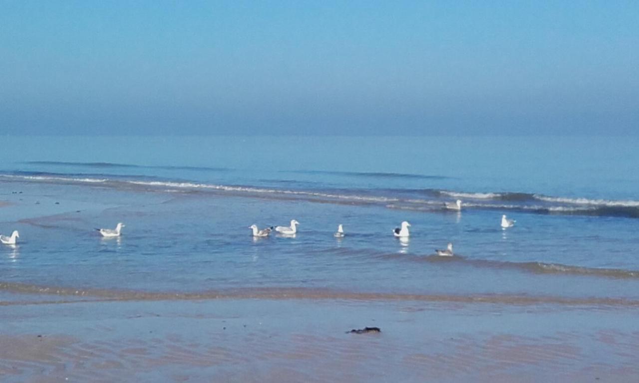 Neptune Lion sur Mer Bagian luar foto
